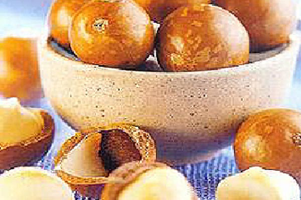 Rac. de Nueces de Macadamia